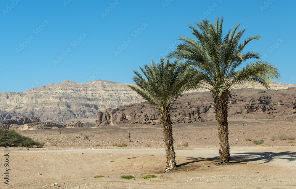 View on the Timna geological park, Israel