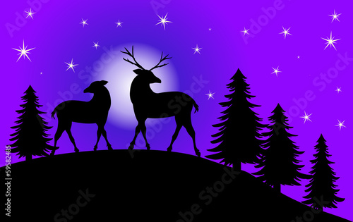 vollmondnacht mit rentieren