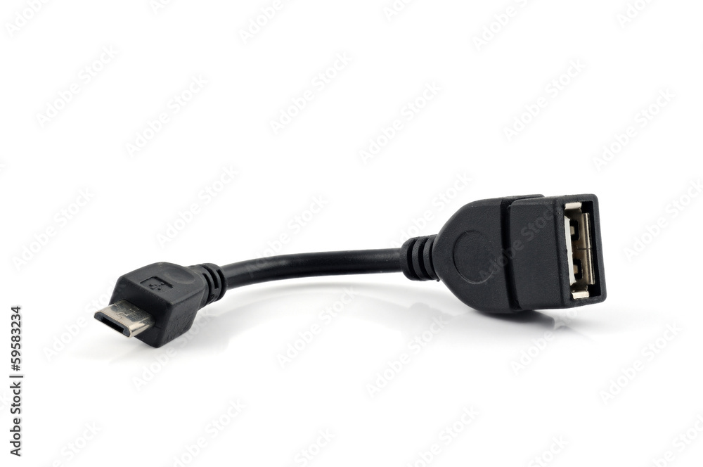 Adapting Cable Adapting Cable