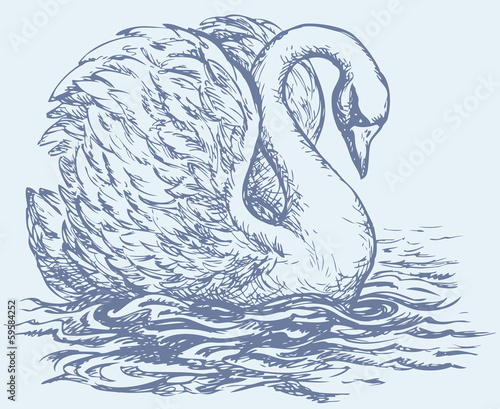 Vector drawing of a series of sketches "Birds". Swan