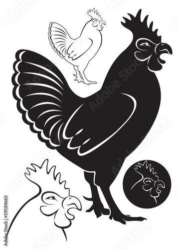 chicken