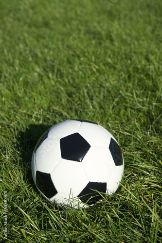 Classic Black and White Soccer Ball Football on Green Grass © lazyllama