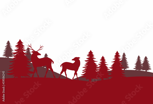 Weihnachtsstimmung im Wald