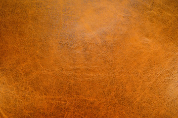 Pattern of Gold Leather Texture.