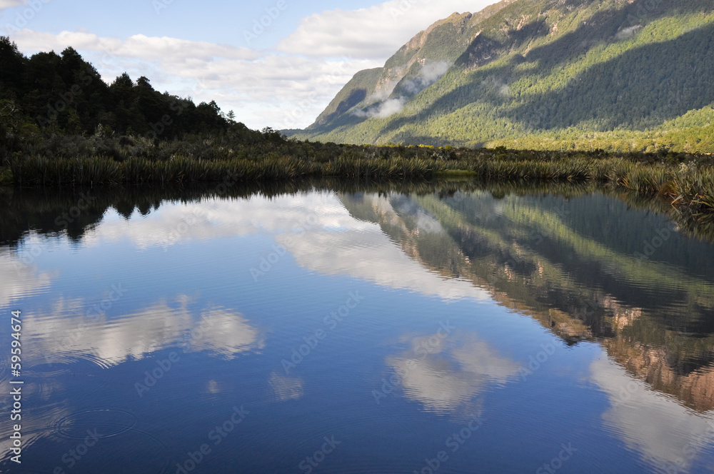 Mirror lakes, Milford Sound (New Zealand)