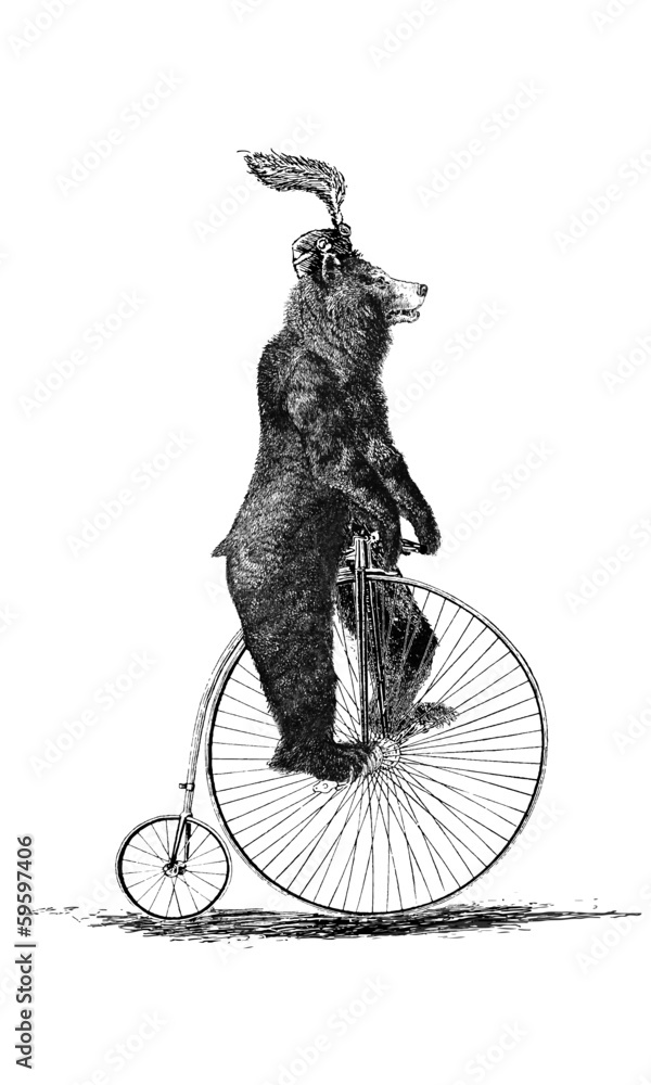Fototapeta premium Ours grand-bi