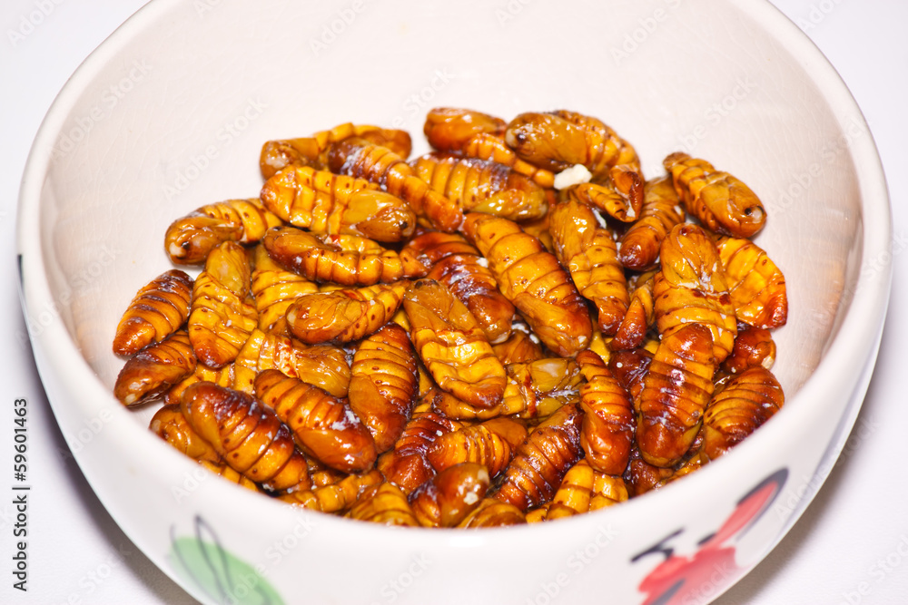 fried silkworms fried silkworms
