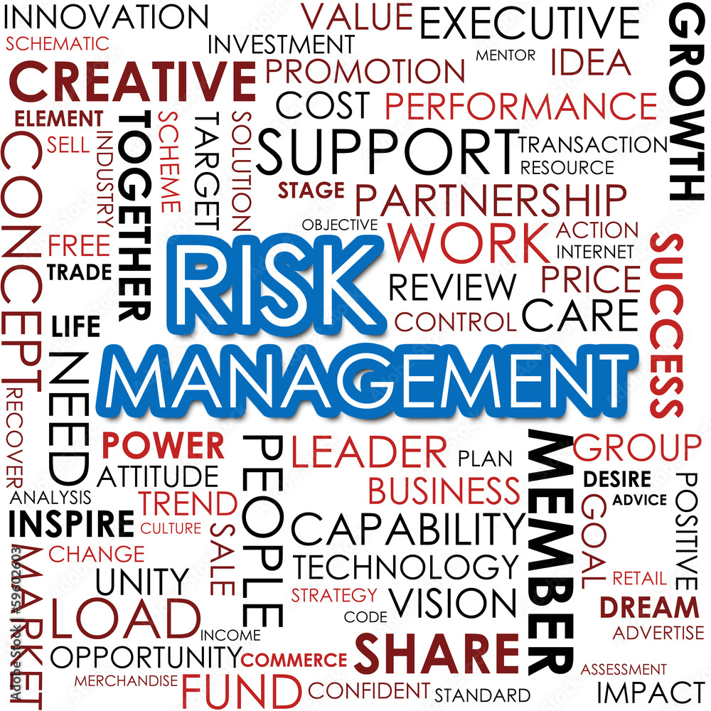 Risk management word cloud