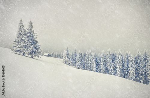 Christmas background with snowy fir trees. Retro stile © Andrew Mayovskyy