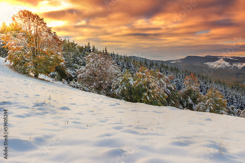 Beautiful morning lights and winter panorama,Carpathians