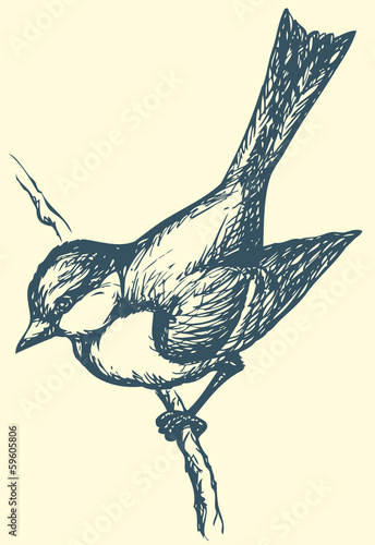 Vector drawing of a series of sketches "Birds". Tit