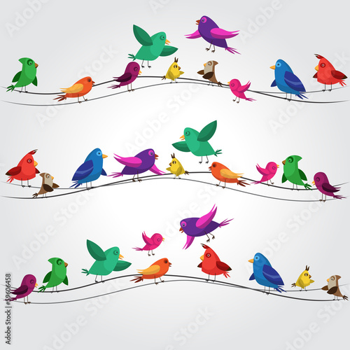many colorful birds