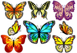 Set of Colorful Realistic Isolated Butterflies.