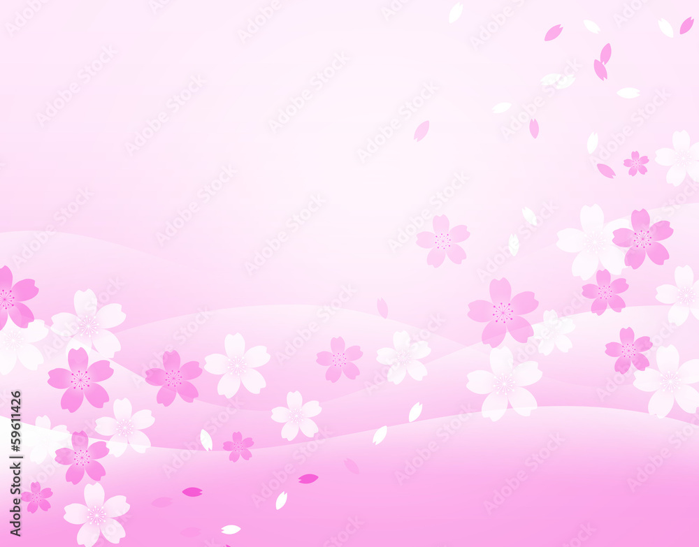 さくら さくら