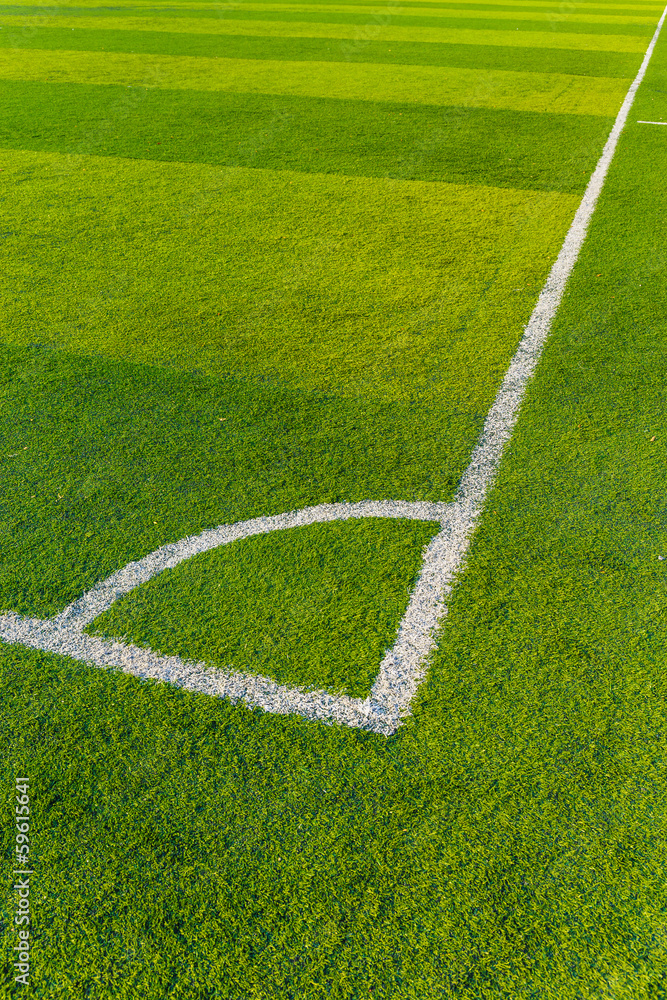 Fototapeta premium Artificial Turf on a Sports Field