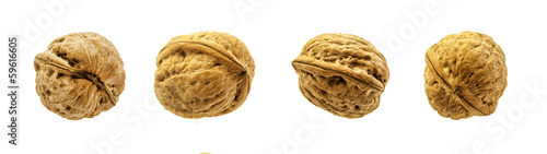 Four walnuts isolated on a white background