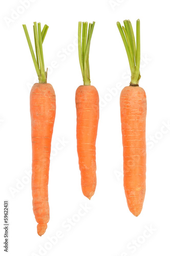 Carrots on White