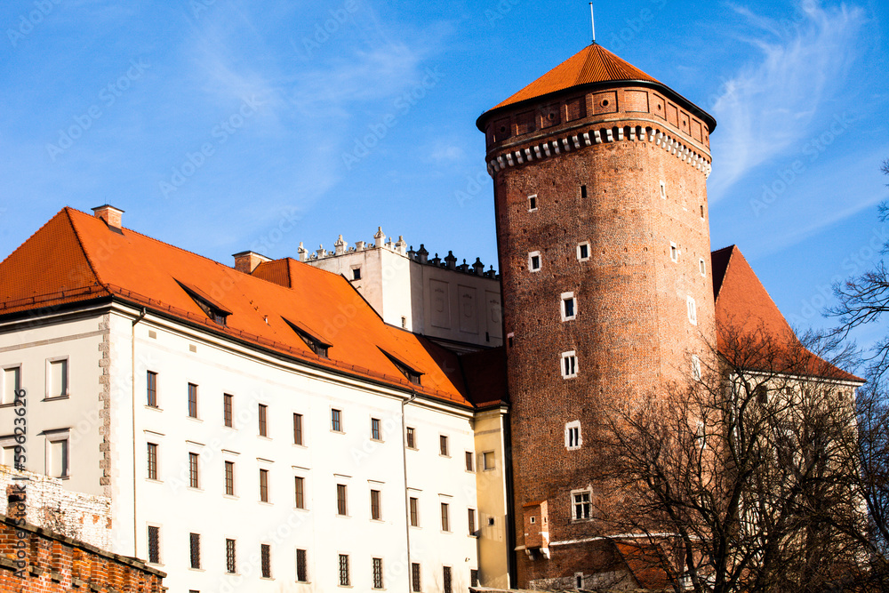 Medieval gothic Towers at Wawel Castle,Cracow,Poland