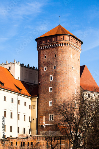Medieval gothic Towers at Wawel Castle,Cracow,Poland #59623636