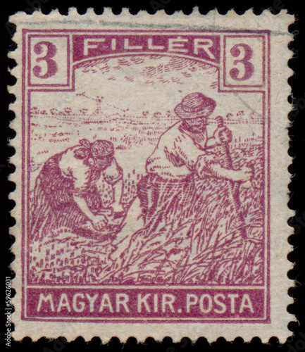 HUNGARY - CIRCA 1916  A stamp printed in Hungary shows Harvestin