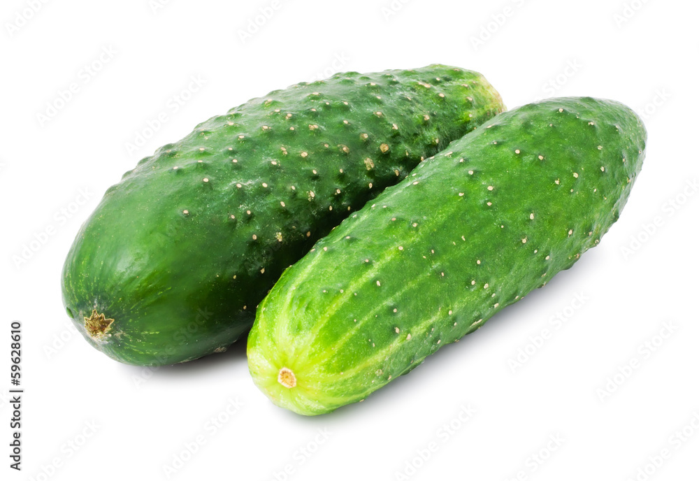 Fresh cucumber Fresh cucumber