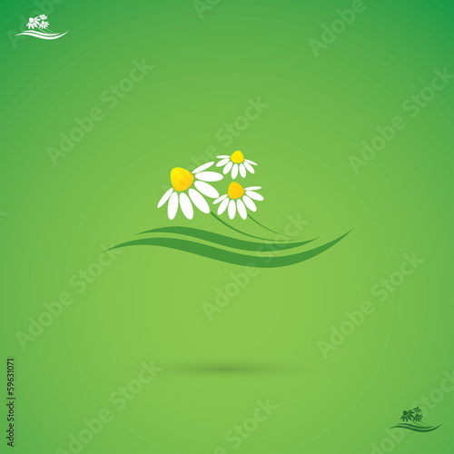 Chamomile label