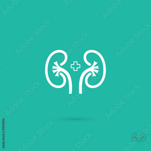 Kidneys symbol