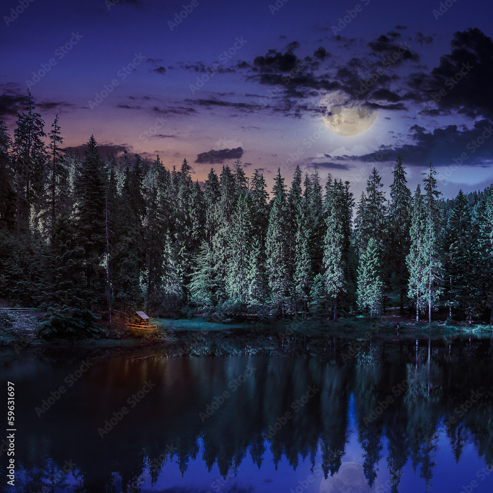 Mountain lake in coniferous forest at night