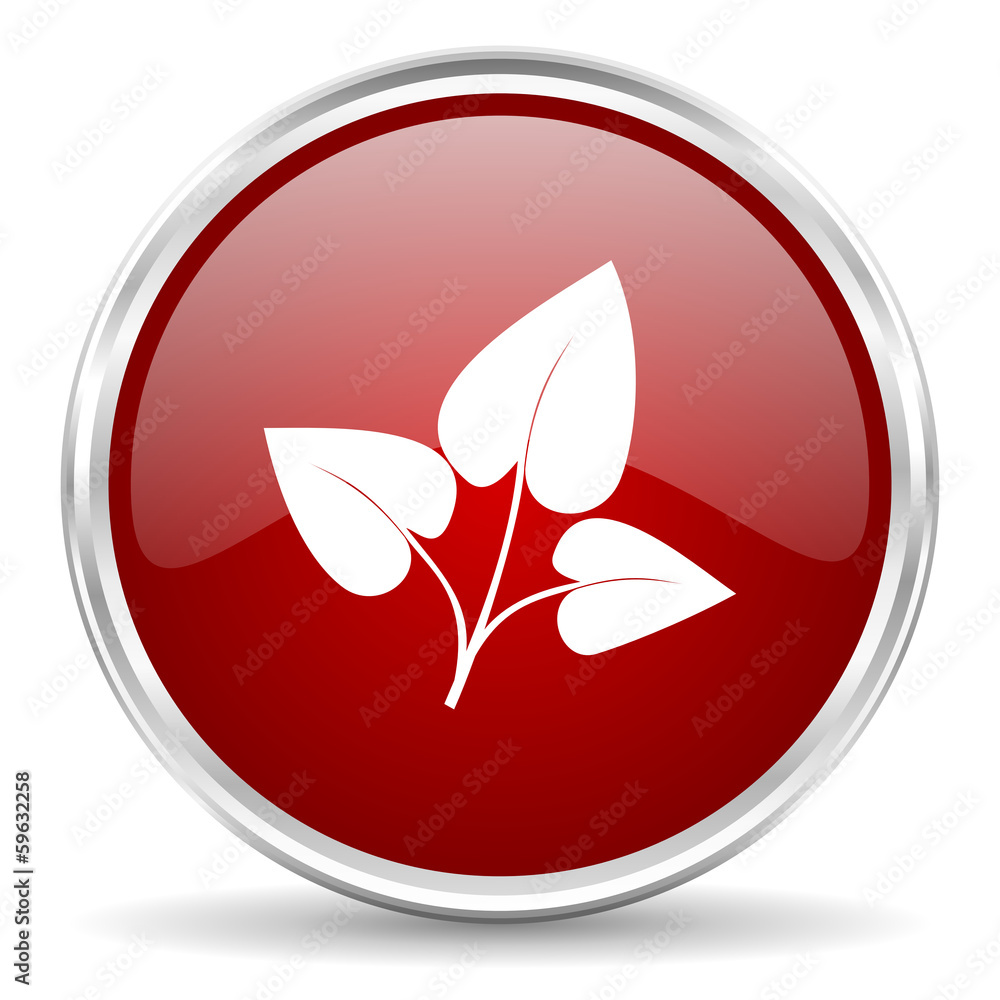 leaf icon leaf icon
