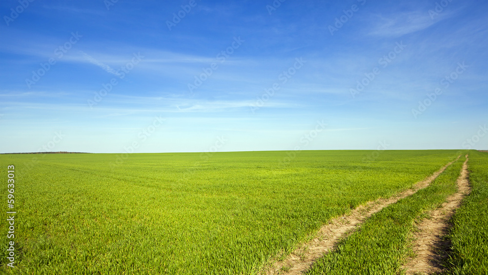 Naklejka premium the rural road - not asphalted rural road in an agricultural field