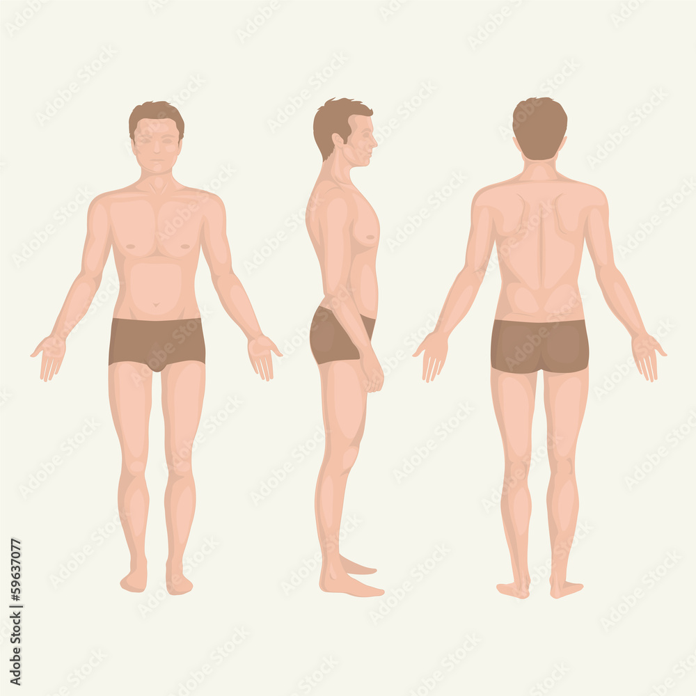 the man stands in various poses with his back. a set of drawings by one  line Stock Vector | Adobe Stock