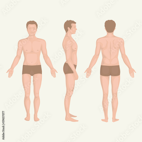 man body , front, back and side  human pose