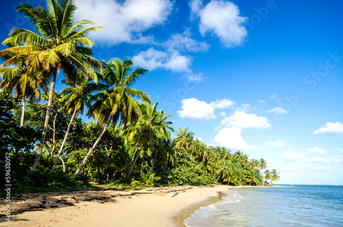 lonely caribbean beach