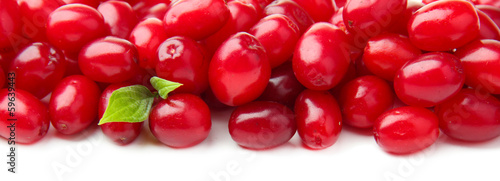 Fresh cornel berries isolated on white
