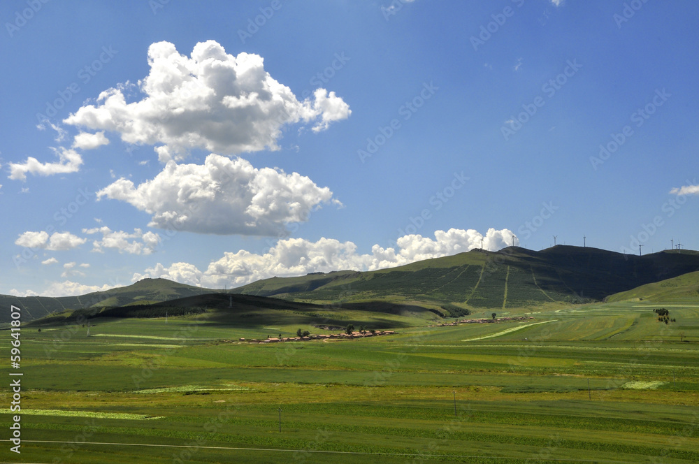 Naklejka premium The Bashang Prairie in Hebei province of China.