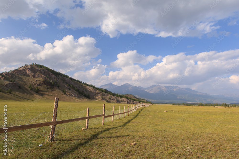 Fence for cows and yaks in mountains.