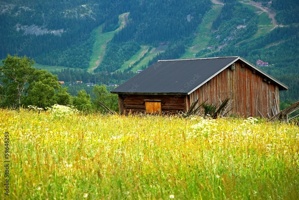 Fototapeta premium Wooden barn in landscape