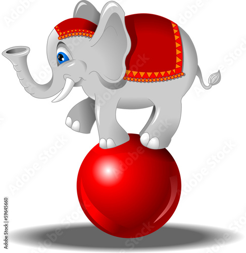 elephant on the ball