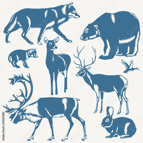wild northern animals on a white background