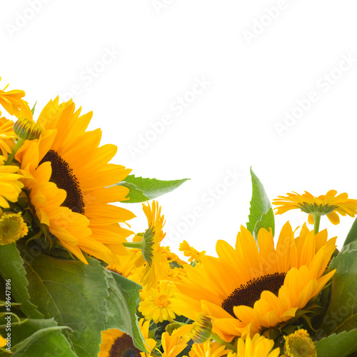 Fototapeta Naklejka Na Ścianę i Meble -  sunflowers and calendula flowers