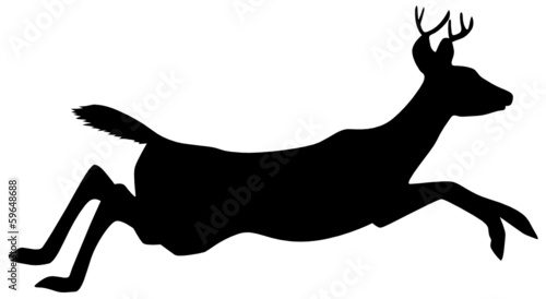 Hirsch