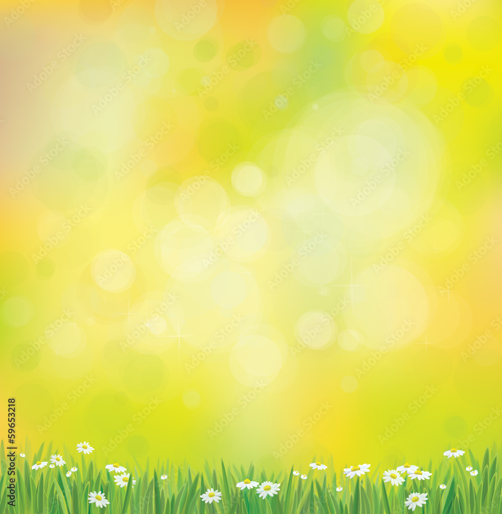 Vector sunshine background with grass and chamomiles. Vector sunshine background with grass and chamomiles.