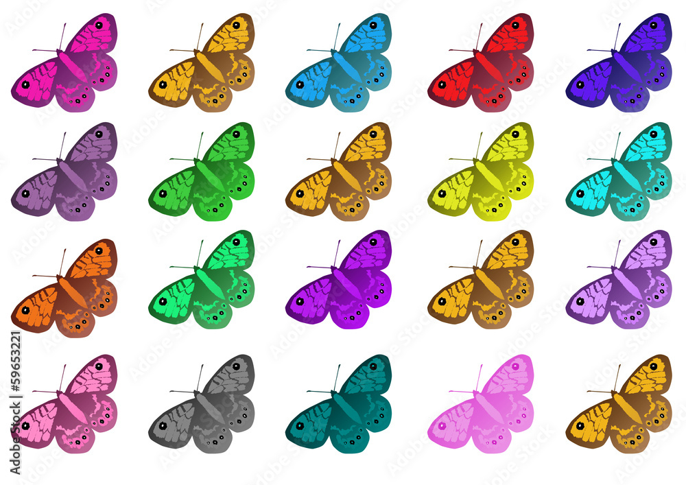 mukticolored butterflys pattern mukticolored butterflys pattern