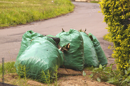 Gargbage Bags Waiting for Collectionon Side of Road photo