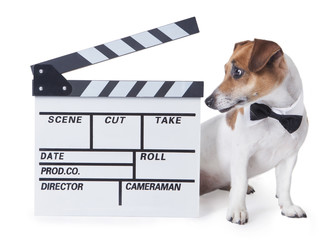 Movie video star animal