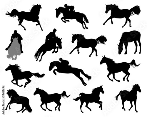 Silhouettes of horses on white background, vector