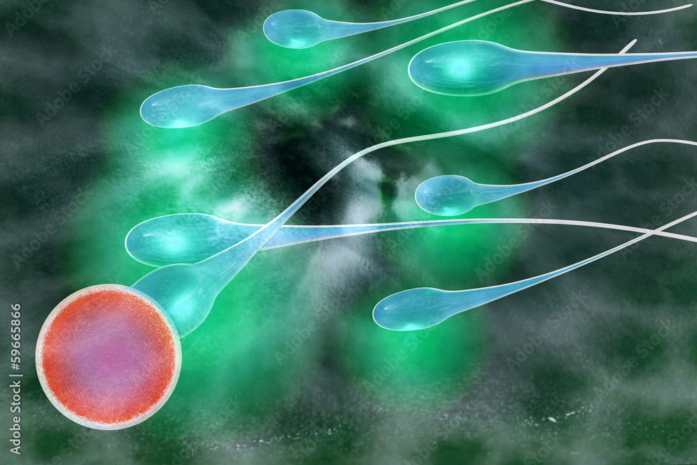 Befruchtung - 3d Render Stock-Illustration | Adobe Stock