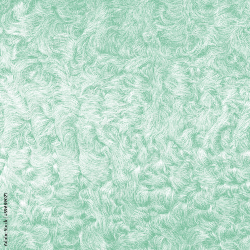 painted in green lamb fur texture closeup painted in green lamb fur texture closeup
