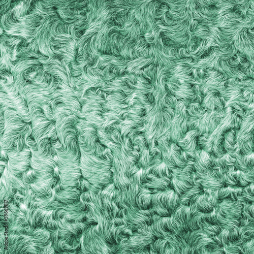 painted in green lamb fur texture closeup