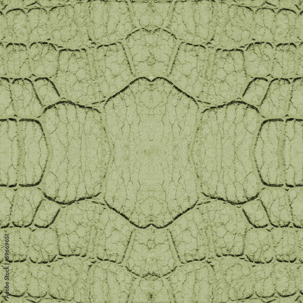 fragment of green snake skin closeup fragment of green snake skin closeup